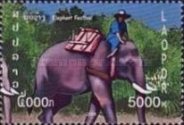 Asian Elephant (Elephas maximus)