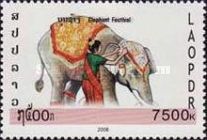 Asian Elephant (Elephas maximus)