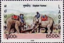 Asian Elephant (Elephas maximus)