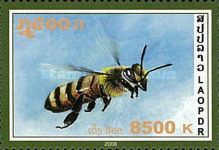 Flying Bee