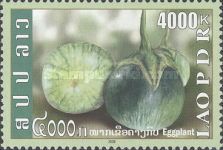 Eggplant (Solanum melongena)