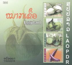Eggplant (Solanum melongena)