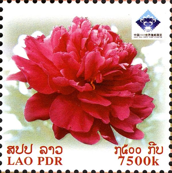 China 2009 World Stamp Exhibition