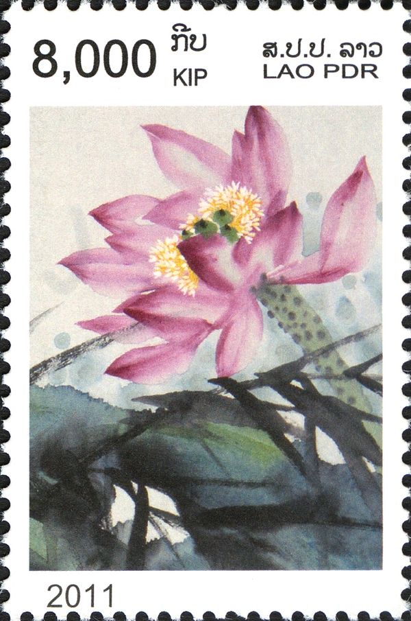 Lotus