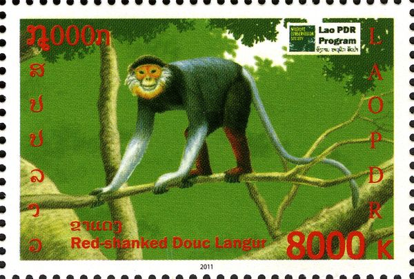 Red-shanked Douc Langur (Pygathrix nemaeus)