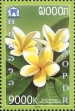 Fiftieth Anniversary of ASEAN Omnibus - National Flowers
