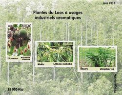 Aromatic plants