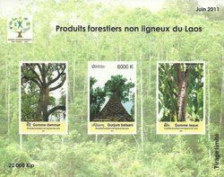 International Year of Forests