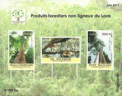 International Year of Forests
