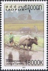Ploughing Field