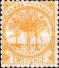 Palm Trees