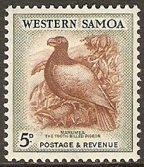 Tooth-billed Pigeon (Didunculus strigirostris)