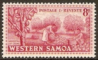 Cacao or Cocoa Beans
