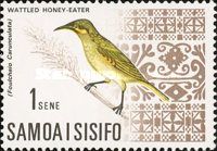 Eastern Wattled Honeyeater (Foulehaio carunculata)