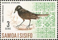 Samoan Starling (Aplonis atrifuscus)