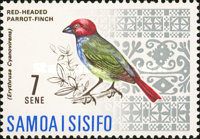 Red-headed Parrotfinch (Erythrura cyanovirens)  