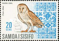Barn Owl (Tyto alba)