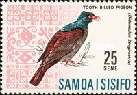 Tooth-billed Pigeon (Didunculus strigirostris)