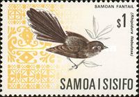 Samoan Fantail (Rhipidura nebulosa)