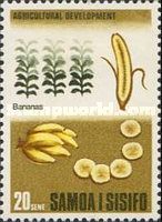 Bananas (Musa paradisiaca)