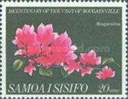 Bougainvillea