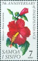 Hibiscus rosa-sinensis