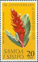 Red Ginger (Alpinia purpurata)