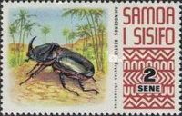 Coconut Rhinoceros Beetle (Oryctes rhinoceros)