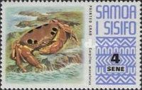 Painted Crab (Carpilius maculatus)
