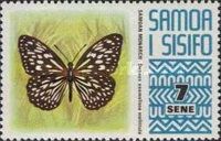 Samoan Monarch (Danaus neomelissa mettula)