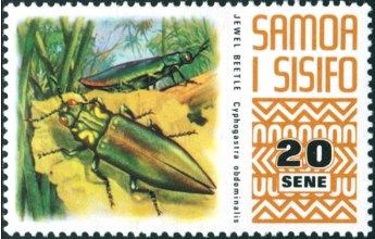 Jewel Beetle (Cyphogastra abdominalis)