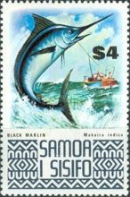 Black Marlin (Makaira indica)