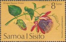 Winged Passion Flower (Passiflora quadrangularis)
