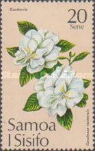 Gardenia (Gardenia taitensis)