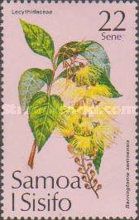 Lecythidaceae (Barringtonia samoensis)