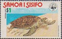 Hawksbill Turtle (Eretmochelys imbricata)
