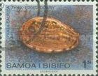 Thick-edged Cowry (Cypraea caurica)