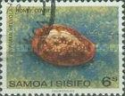 Honey Cowry (Cypraea helvola)