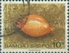 Globe Cowrie (Cypraea globulus)