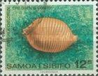 Children's Cowry (Cypraea childreni)