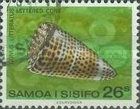 Lettered Cone (Conus litteratus)