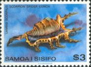 Scorpion Spider Conch (Lambis scorpius)