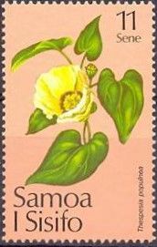 Thespesia populnea