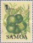 Lime (Citrus aurantifolia)