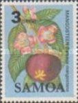 Mangosteen (Garcinia mangostana)