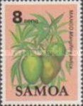 Mango (Mangifera indica)