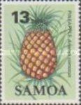 Pineapple (Ananas comosus)