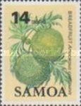 Breadfruit (Artocarpus communis)