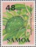 Sasalapa (Annona muricata)