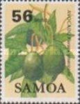 Avocado (Persea americana)